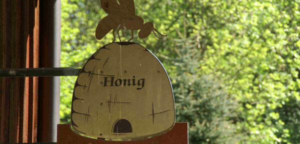 «Bienen» – Führung & Vortrag Imkerei-Museum
