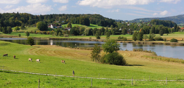 Morgenwanderung Oberländer Moorlandschaft